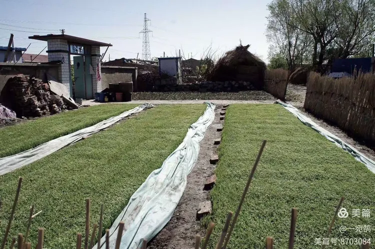 庄稼院【十五】前沟村(2)